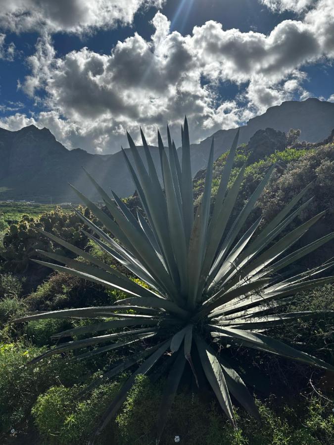 Aventura En Buenavista Del Norte Exterior foto